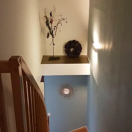 Haus Zum Wilden Manne * Ερφούρτη