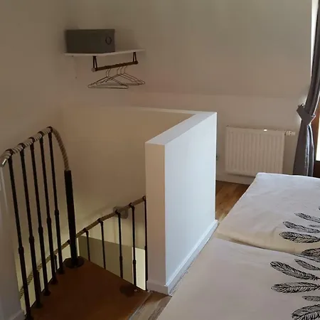 Haus Zum Wilden Manne * Erfurt