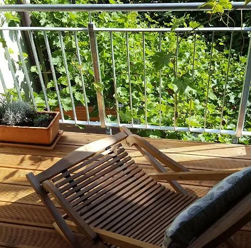 Haus Zum Wilden Manne Feriehus Erfurt