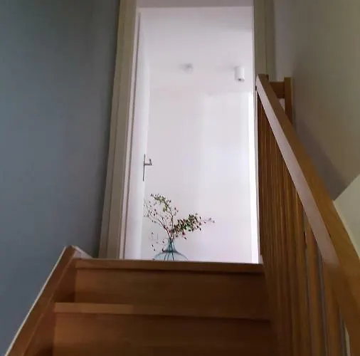 Haus Zum Wilden Manne